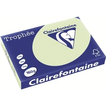 Afbeelding van Clairefontaine Trophée Pastel, gekleurd papier, A3, 160 g, 250 vel, golfgroen papier