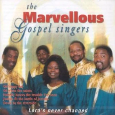 Afbeelding van Marvellous Gospel Singers Lord&#039;s Never Change (CD)