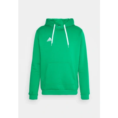 Afbeelding van adidas Performance Entrada 22 Sweat Hoodie, Heren, Maat: XS, Team green/white