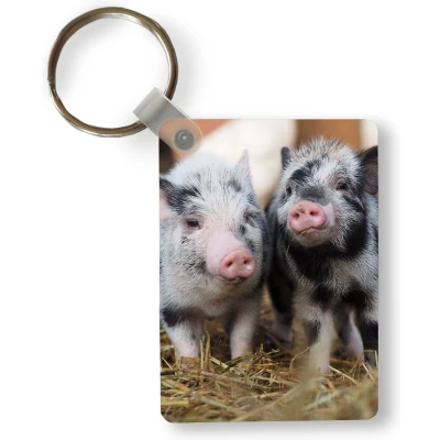 Afbeelding van Sleutelhanger Varken Dieren Varkentje Uitdeelcadeautjes Plastic