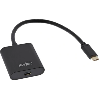 Afbeelding van InLine 64105B video kabel adapter 0,2 m USB Type C Mini DisplayPort Zwart