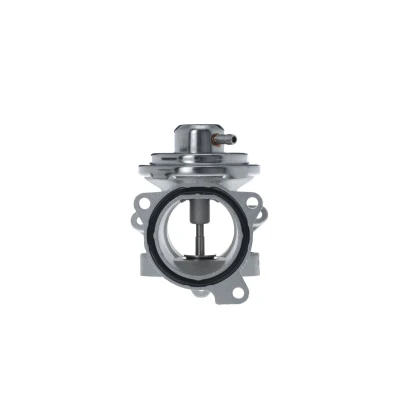 Afbeelding van EGR klep VALEO 703260