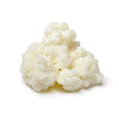 Afbeelding van Kombuchaorganic 10 g superieure soort gecertificeerde biologische melk kefir granen door RawCultures® gecertificeerd biologisch