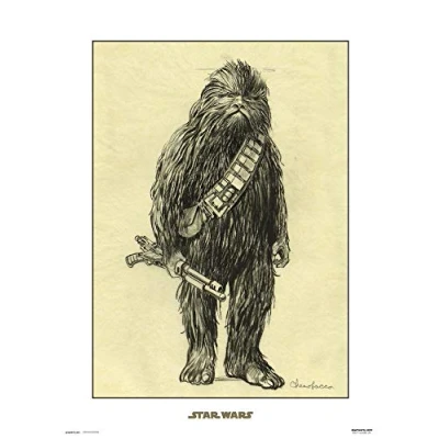 Afbeelding van Star Wars: Chewbacca Concept Art Print