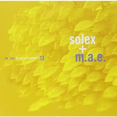 Afbeelding van Solex + M.A.E. In The Fishtank (CD)