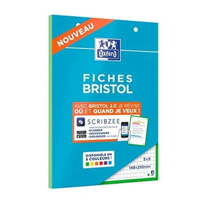 Afbeelding van OXFORD Bristol 2.0 indexblok, geperforeerd, 148 x 210 mm, kleine ruitjes, 5 30 stekkers, groen frame