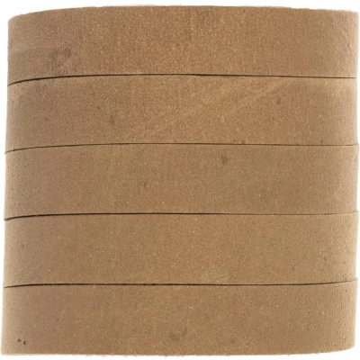 Afbeelding van DQ Plat Leer (10 x 2 mm) Natural Light Brown (1 Meter)