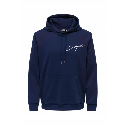 Afbeelding van ONLY &amp; SONS ONSDAVID SKETCH REG HOODIE Heren Sweaters