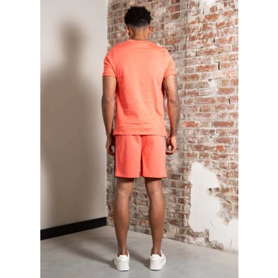 Afbeelding van Sergio Tacchini Master TEE Tshirt print, Heren, Maat: Medium, Dubarry/maritime blue