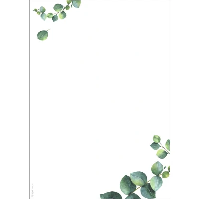 Afbeelding van Designpapier Sigel A4 90grs Eucalyptus 1, pak 100 vel
