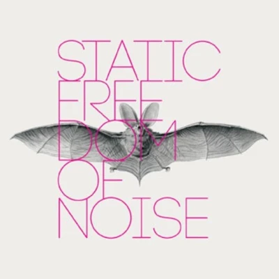 Afbeelding van Static Freedom of Noise (LP)
