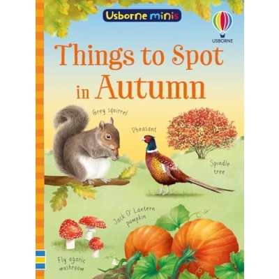Afbeelding van Usborne Minis Things to Spot in Autumn