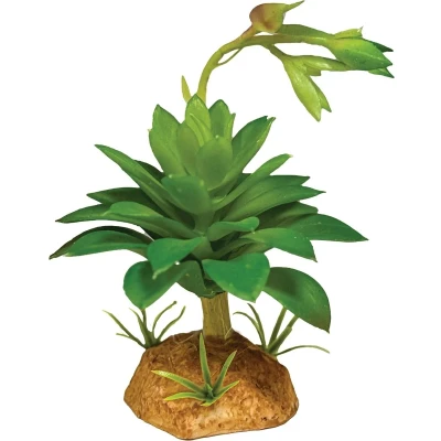 Afbeelding van Repto Plant Succulent Green