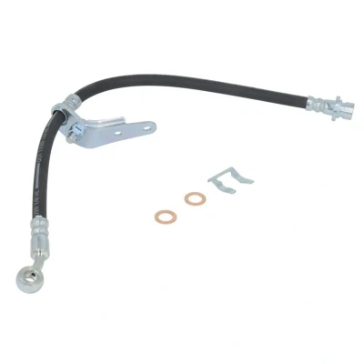 Afbeelding van Delphi Diesel Remslang LH6684