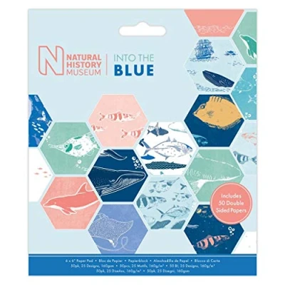 Afbeelding van 6 x 6&quot; Paper Pad (50pk) Into the Blue
