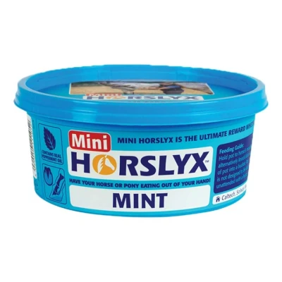 Afbeelding van Horslyx mini mint