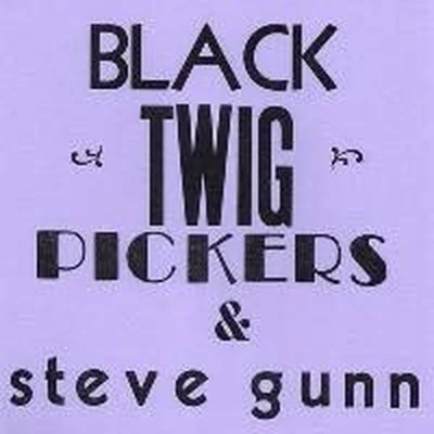 Afbeelding van Black Twig Pickers &amp; Steve Gunn Lonesome (7&quot; Vinyl Single)