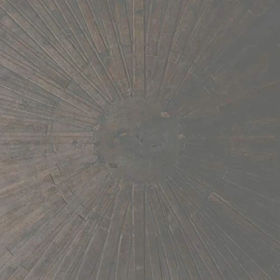 Afbeelding van William &amp; Lawrence English Basinski Selva Obscura (LP)