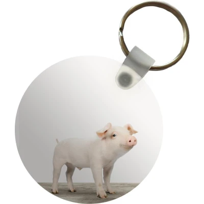 Afbeelding van Sleutelhanger Dieren Varken Baby Plastic Rond Uitdeelcadeautjes