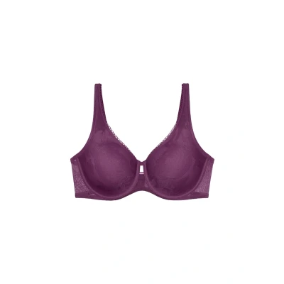 Afbeelding van Triumph Wild Rose Sensation W01 Flower Purple, 80E