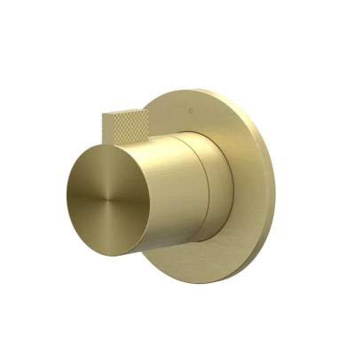 Afbeelding van IVY Tribe afbouwdeel inbouw stopkraan symmetry RVS 316 Geborsteld Mat Goud PVD