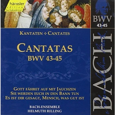 Afbeelding van Bach Ensemble, Helmuth Rilling J.S. Bach: Cantatas Bwv 43 45 (CD)