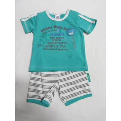 Afbeelding van dirkje , kledingset jongen tshirt + korte broek groen 1 maand 56