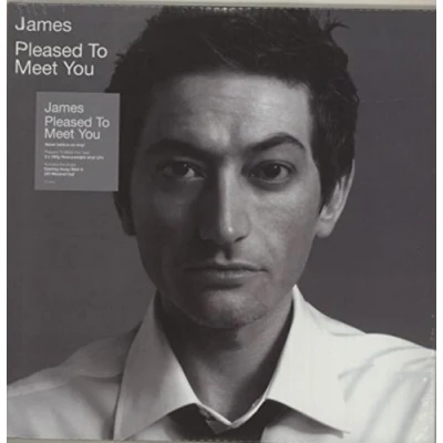 Afbeelding van James Pleased To Meet You (2 LPs)