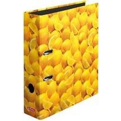 Afbeelding van 10546901 A4 Multicolor 8 cm 1 pc(s)