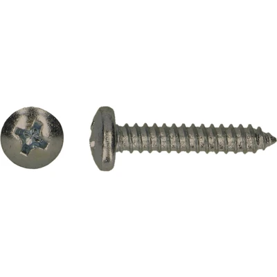Afbeelding van Zelftappers DIN 7981 bolkop RVS 4,8x16 200 stuks