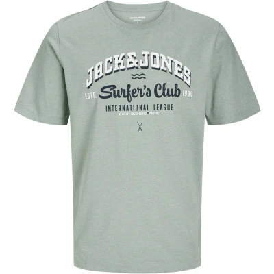 Afbeelding van T shirt Korte Mouw Jack &amp; Jones JJELOGO TEE SS ONECK 2COL 24/25