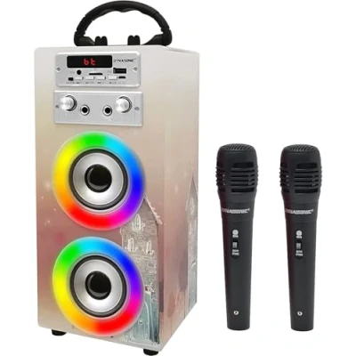Afbeelding van DYNASONIC Draagbare Karaoke Machine, 2 Microfoons, Bluetooth Luidspreker, Verlichting, USB en SD lezer, Cadeau voor Kinderen 5 16 Jaar (Model 19)