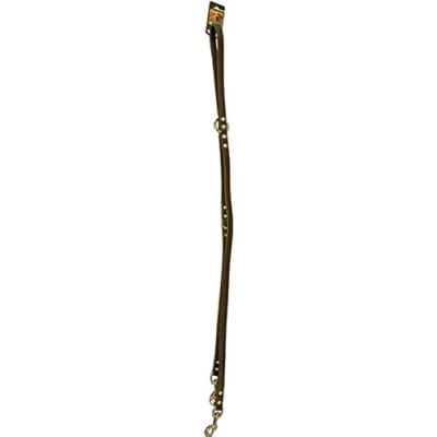Afbeelding van Boon Leren Dresseerlijn Donkerbruin 18mm/ 200cm