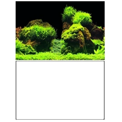 Afbeelding van Superfish Deco Poster E3 100x49 cm