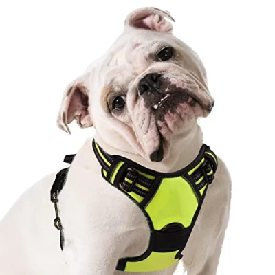 Afbeelding van Eagloo Hondentuig Harnas voor Grote Honden Anti pull Medium Borst Geen Veiligheidsharnas Auto Hond Labrador Puppy Joggen Breakaway Zacht Gewatteerd Groen M