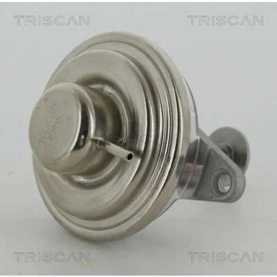 Afbeelding van EGR klep TRISCAN 8813 24054