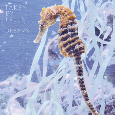 Afbeelding van Taken By Trees Dreams Never Die (Single)