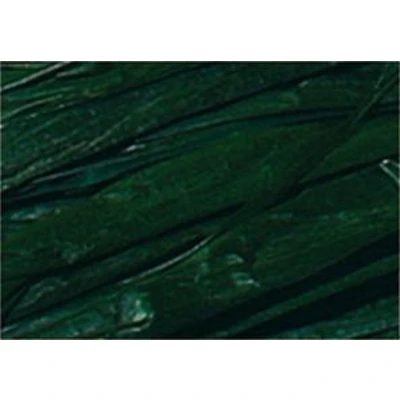 Afbeelding van Raffia Folia 50gr. dennen groen