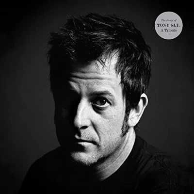 Afbeelding van Various Artists The Songs Of Tony Sly: A Tribute (2 LP)