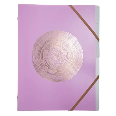 Afbeelding van Exacompta Ref. 56890E 1 Sorteermap Ellipse met elastieken omslag in gerecycleerd polypropyleen roségouden opdruk 6 vakken voor A4 afmetingen 25 x 32 cm willekeurige kleuren