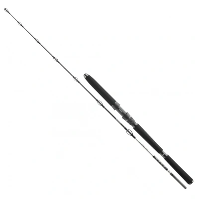 Afbeelding van Daiwa BG Deep Sea 2,20m 30 40lbs Boothengel