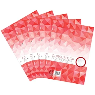 Afbeelding van Work Cursusblok 5 stuks A4+ geruit 5mm notitieboek 100 vel 2 gaats 70gr