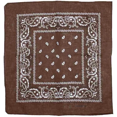 Afbeelding van Zac&#039;s Alter Ego Brown Paisley print Bandana Bruin