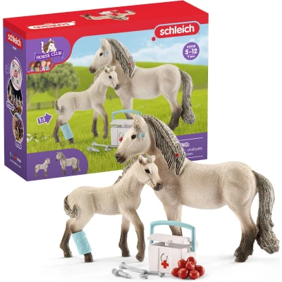 Afbeelding van Schleich Playset Horse Club Hannahs Verbanddoos