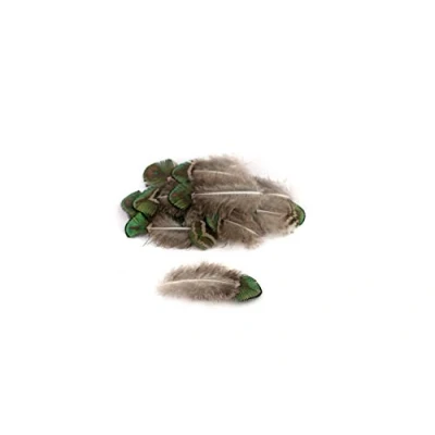 Afbeelding van 20 pauwenveren, 4 8 cm, decoratieve veren, sierveren, knutselen, vogelveren