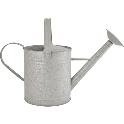 Afbeelding van Esschert Design Gieter vintage look zink 8 l