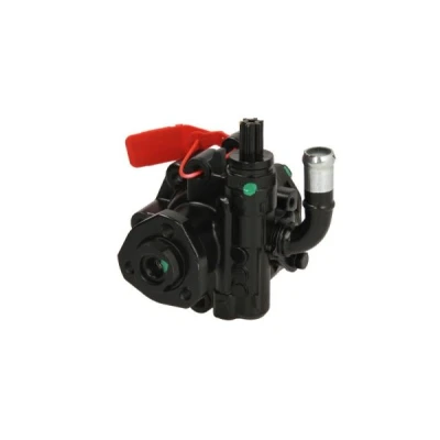 Afbeelding van Lauber Servopomp 55.0968
