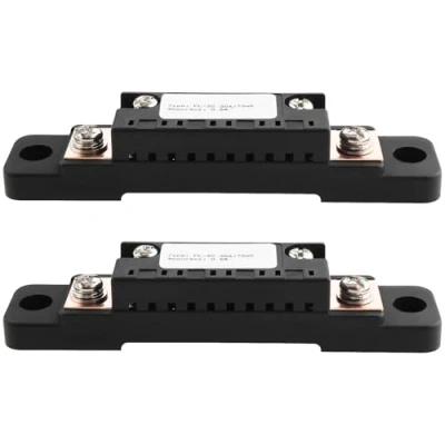 Afbeelding van OTOTEC 2 Stks 75mV FL 2C 30A Shunt 0.5% Meten Weerstand Huidige Meting Ampere Panel Meter Tester voor Digitale Ampèremeter