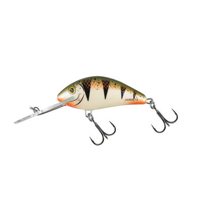 Afbeelding van Salmo Floating Hornet 6cm 10g (diepte 2 5.6m) Soort : Nordic Perch