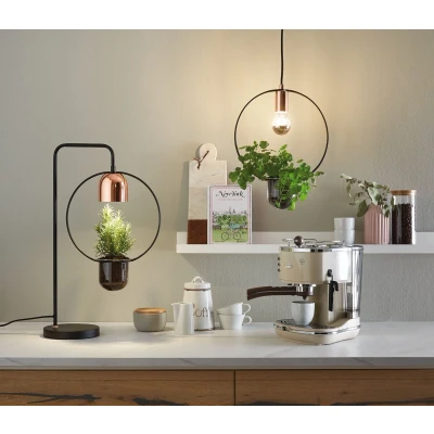 Afbeelding van Paulmann Kweeklamp Fanja 18 cm 230 V GU10 20 W Energielabel: G (A G) 1 stuk(s)